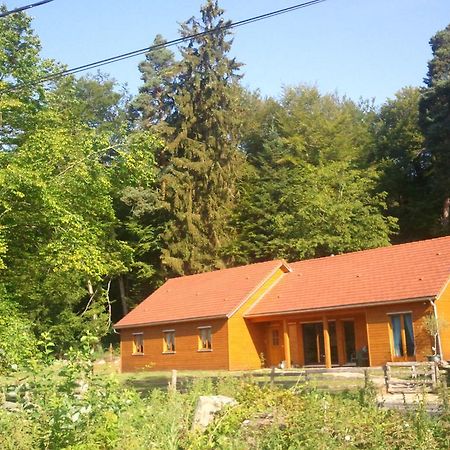 Vosges Chambres D'Hotes Jeanmenil Экстерьер фото