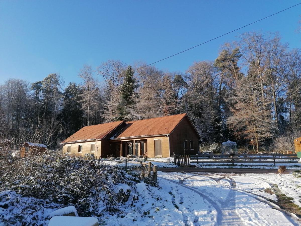 Vosges Chambres D'Hotes Jeanmenil Экстерьер фото