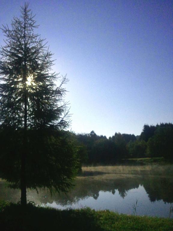 Vosges Chambres D'Hotes Jeanmenil Экстерьер фото